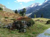 Klik op de foto voor groter formaat